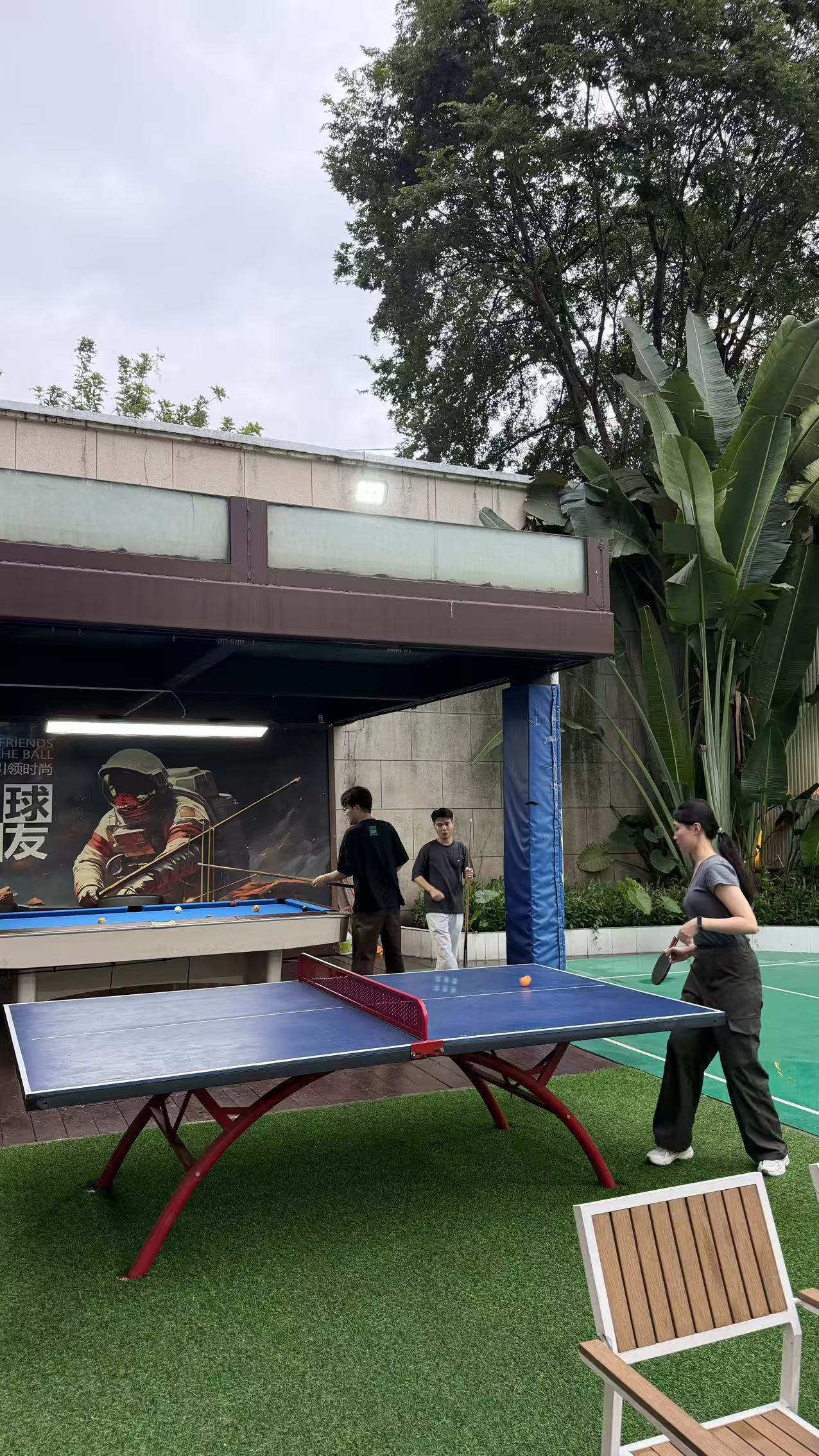 图片8